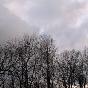 Meet your Posher, Rico